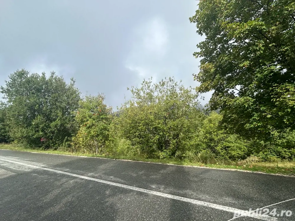 Teren intravilan la drum Muntele Baisorii 