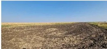 Teren extravilan Putineiu, ID: R2718957 Teren extravilan Putineiu, ID: R2718957