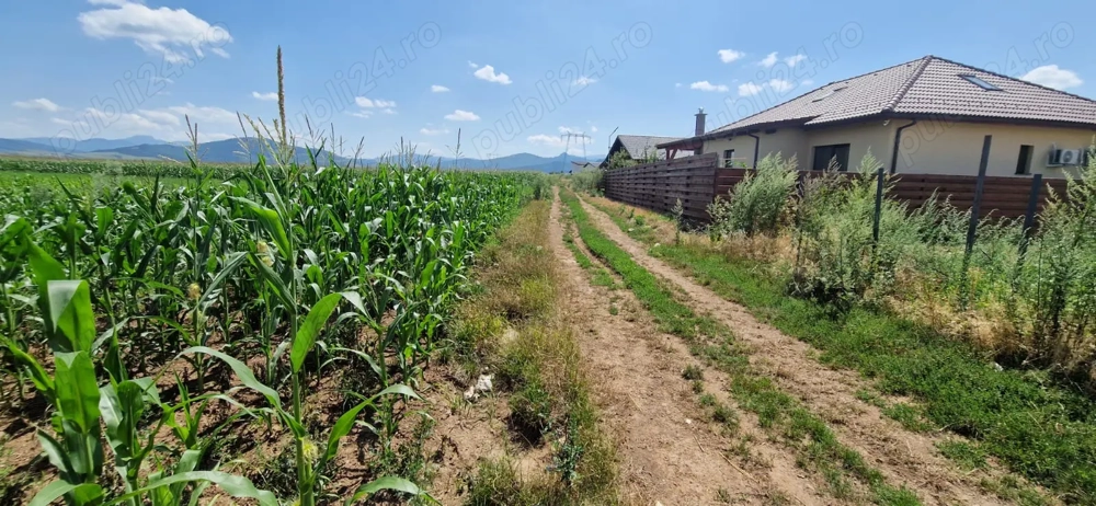 Vand teren extravilan+intravilan in Cartier Izvor Tarlungeni