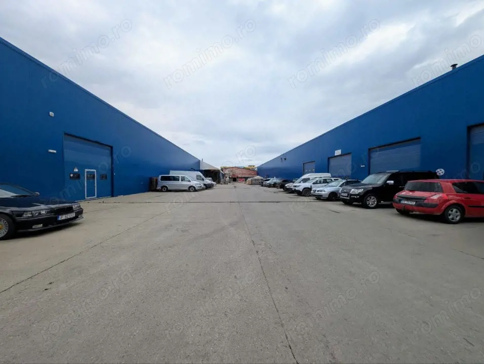 Dipozit/Showroom , Centura Bucuresti , 800 mp
