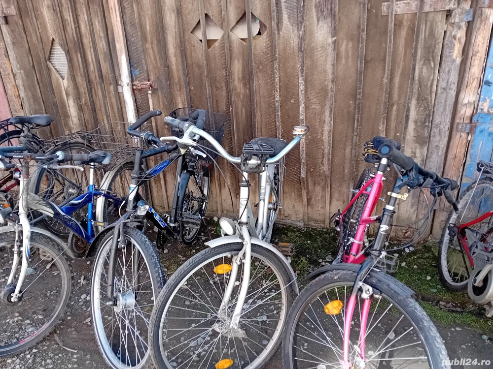 vad biciclete dam si barbati