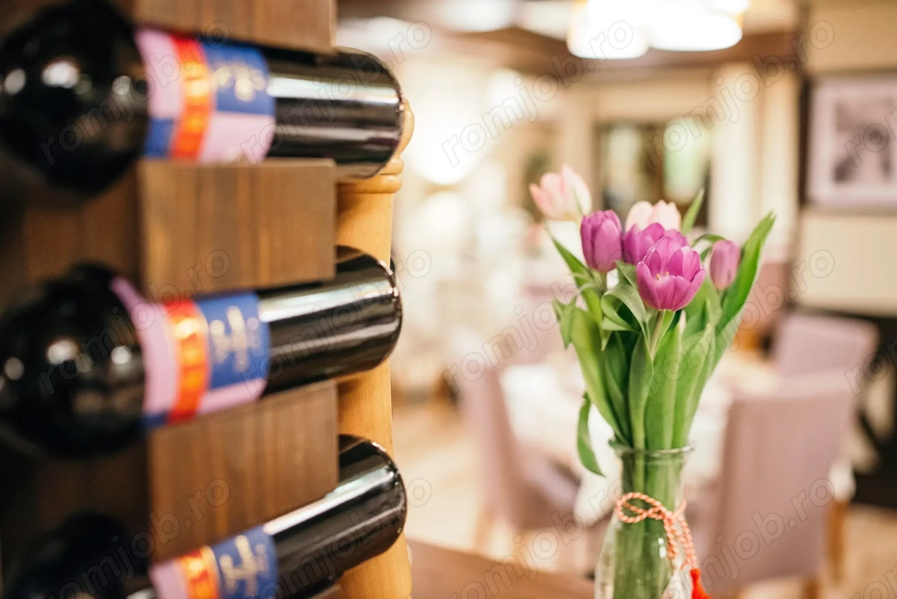 Pensiunea Casa Humor angajeaza piccolo restaurant