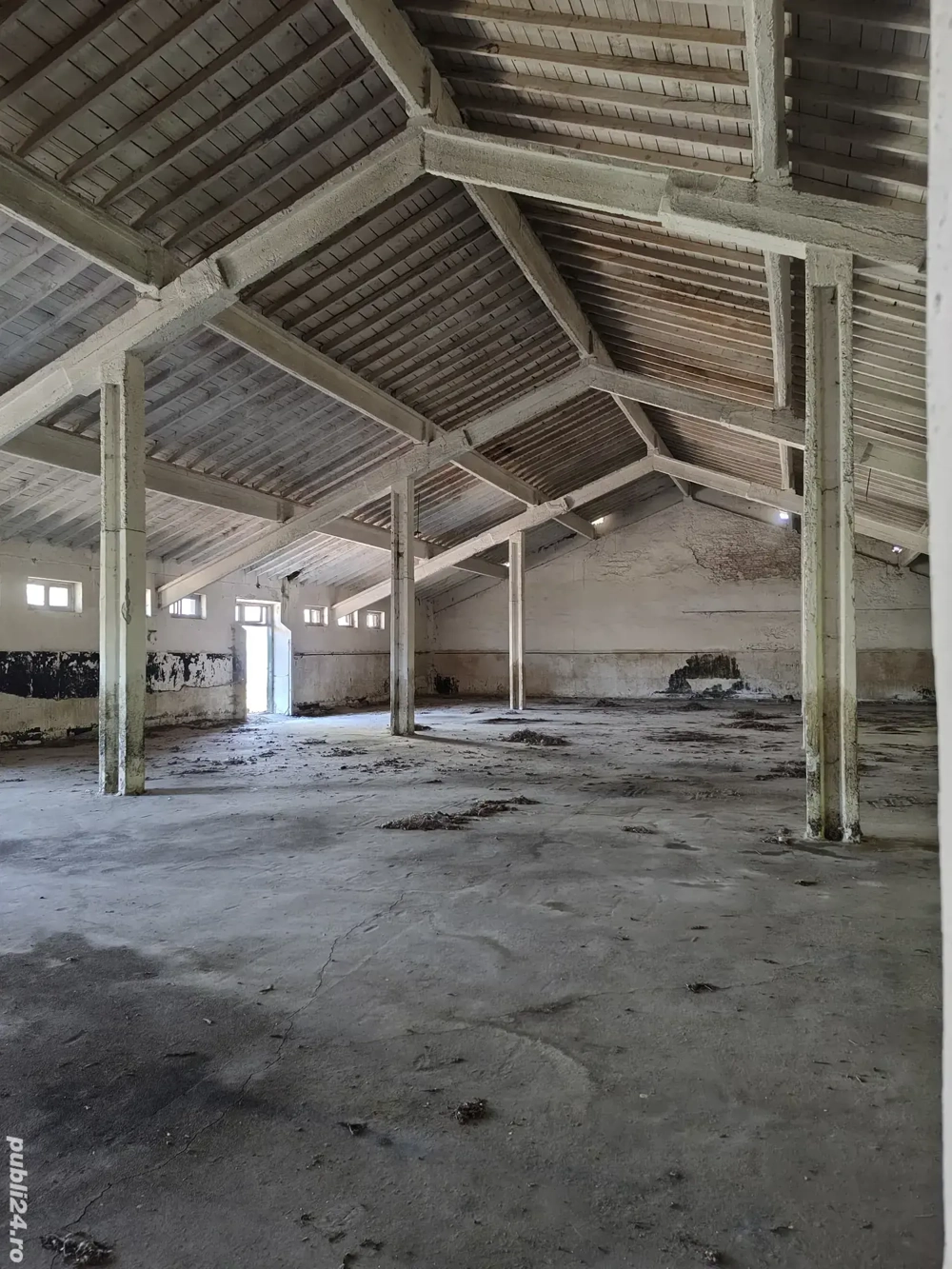 Hale si platforma betonata Hale si platforma betonata