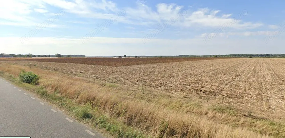 Teren extravilan localitatea Nuci, Ilfov