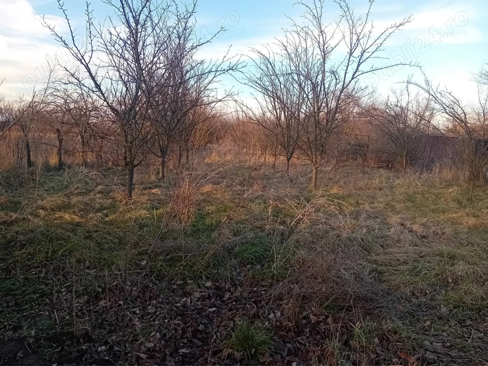 Vând teren intravilan Vând teren intravilan