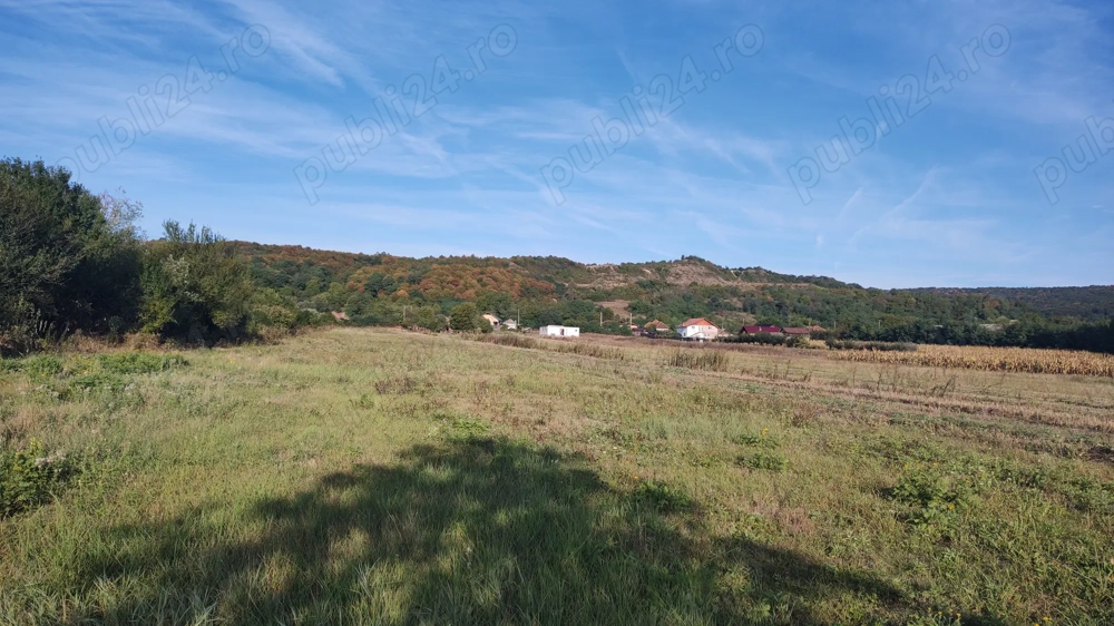 Vând teren comuna Mihăești, județul Vâlcea