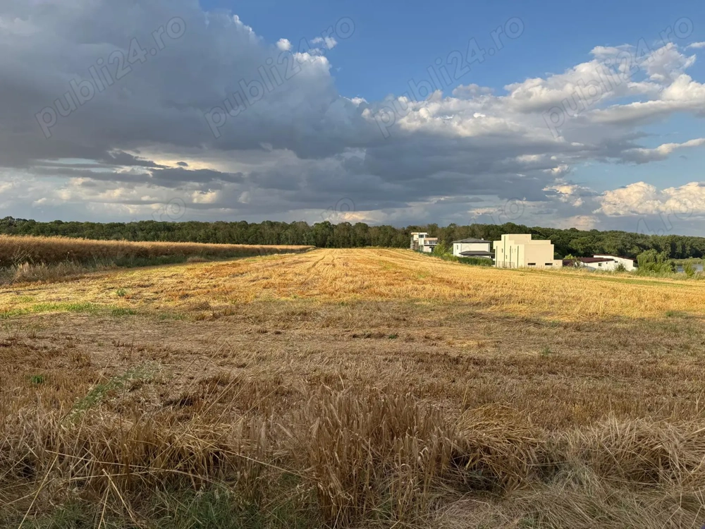 Teren de vanzare Moara Vlasiei