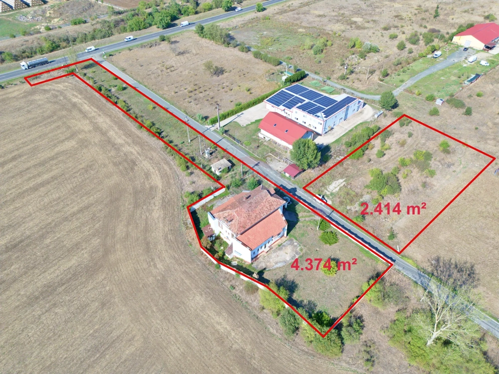 De vânzare pensiunea "Casa Albă" Pecica/Arad.