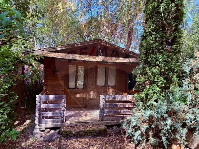 Ansamblu de 7 Căsuțe de Vacanță, Ocna Șugatag