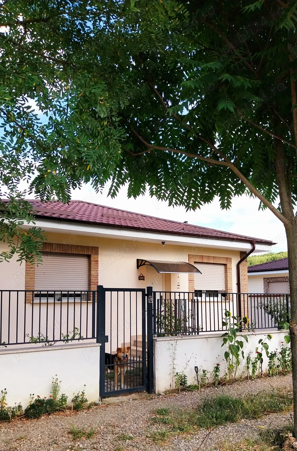 Casa lângă pădure 