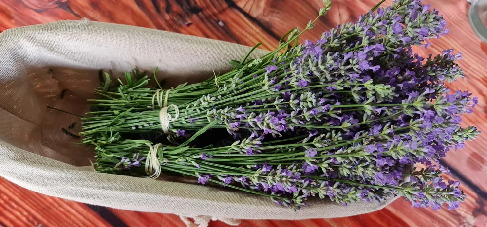  Casă cu suflet și spațiu verde   ideală pentru familie sau retreat urban!