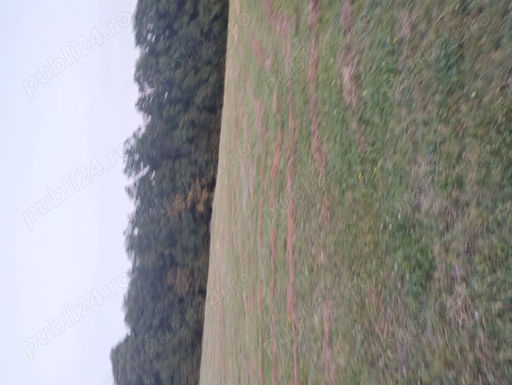 Vând Teren extravilan in Popesti 