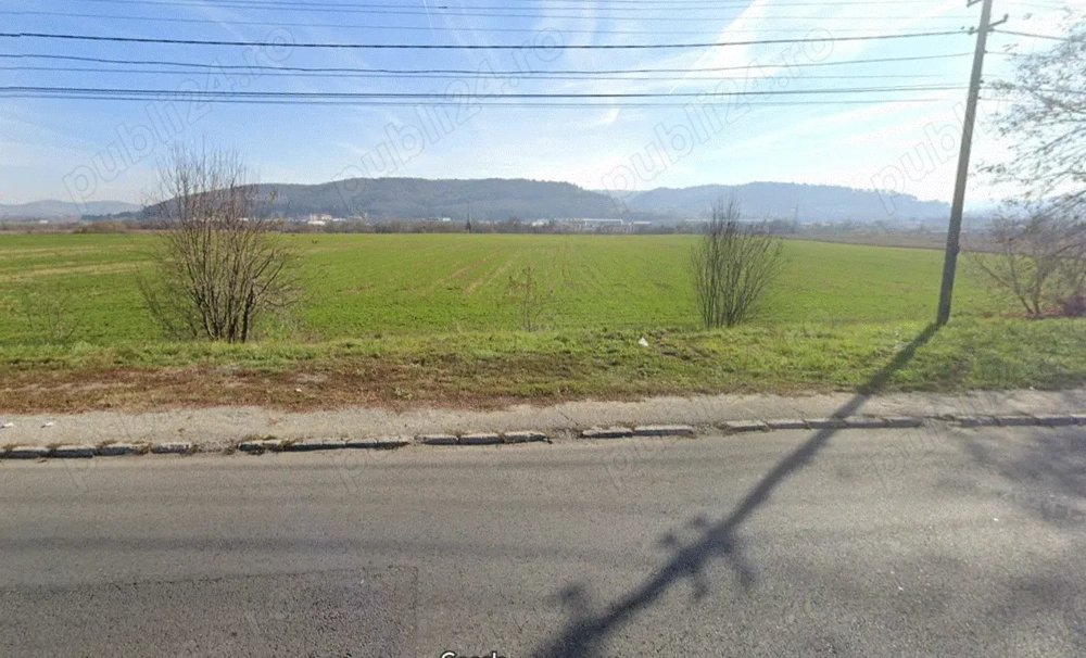 Teren intravilan 10000 mp de vanzare - Medias