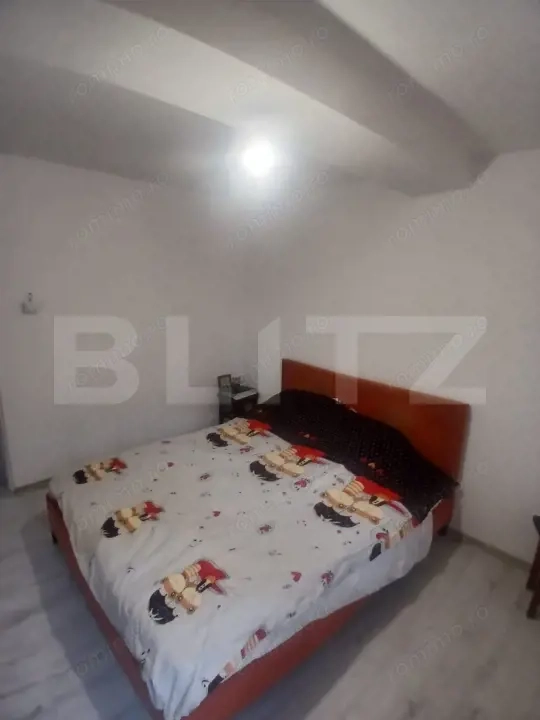 Casa de vanzare, 110 mp, zona Plopii Fără Sot -125.000 euro 