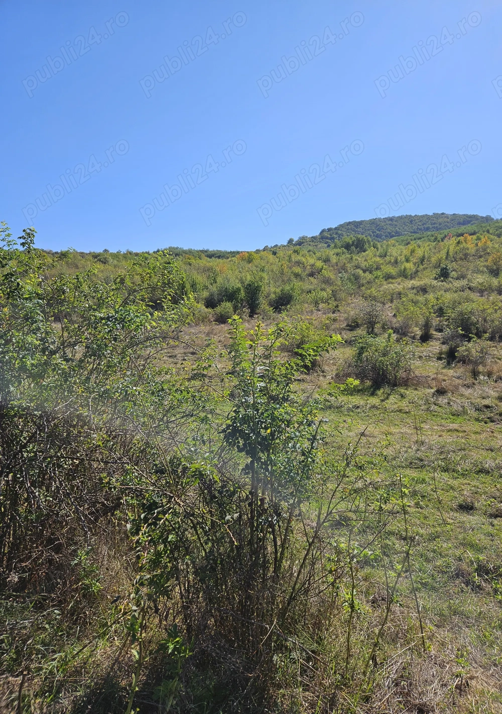 Vand TEREN - com. Crețestii de sus, Husi, jud Vaslui