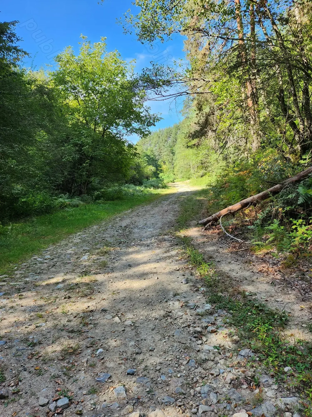 De vânzare teren extravilan  De vânzare teren extravilan