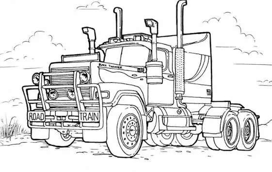 Sofer b,c,e,d cu atestate valabile