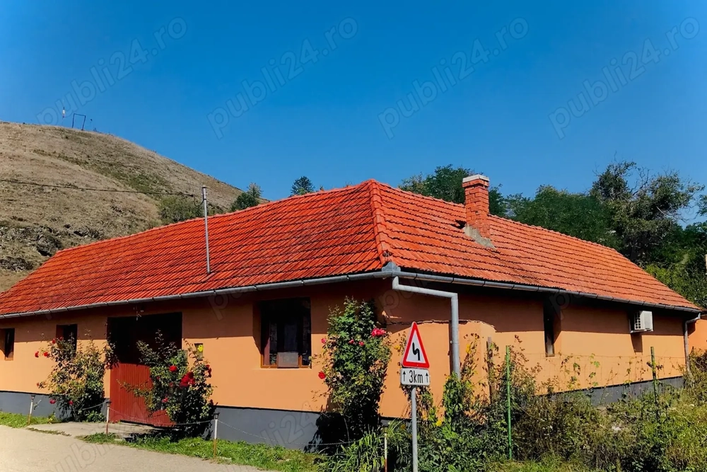 Vând casă nou construită cu grădină și curte 