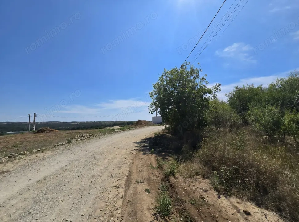 Teren Paleu Intravilan 