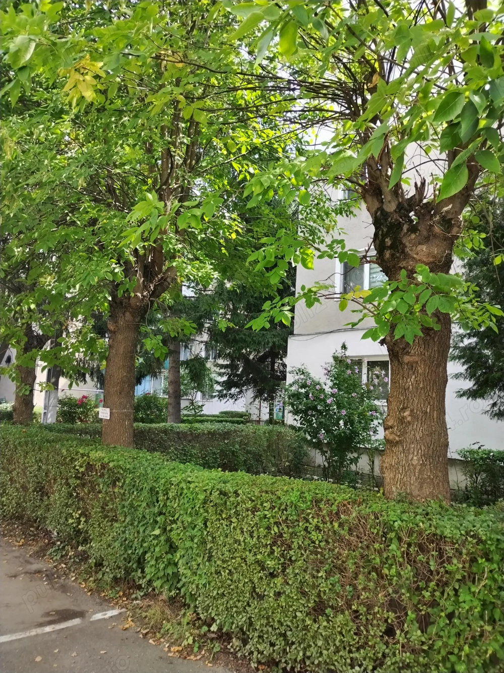 Vând sau Schimb apartament cu 3 camere,zona Kogălniceanu Deva