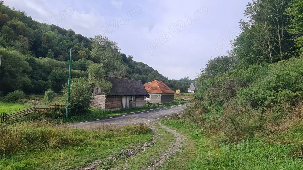 Vând proprietate pe Transapuseana 