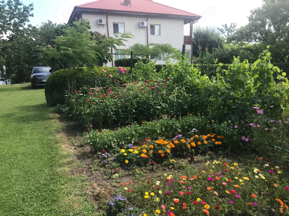 Proprietar : Imobil - Teren - Anexe Proprietar : Imobil - Teren - Anexe