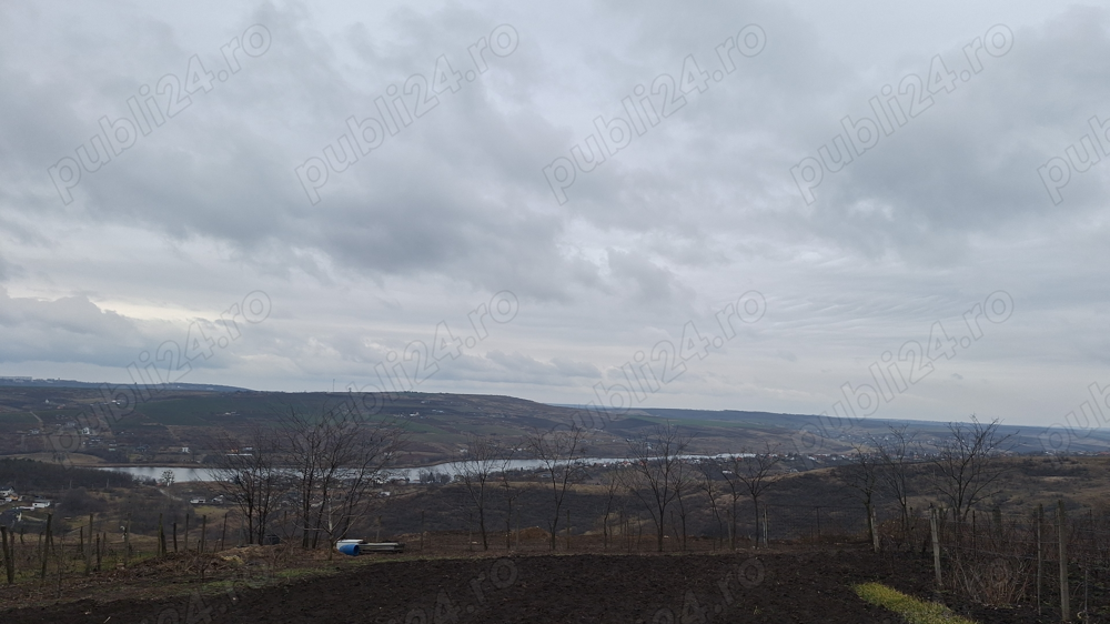 Teren Aroneanu 1000mp Teren Aroneanu 1000mp