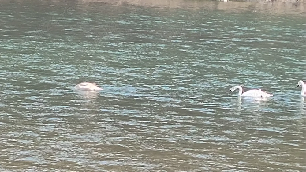 teren intravilan de vanzare