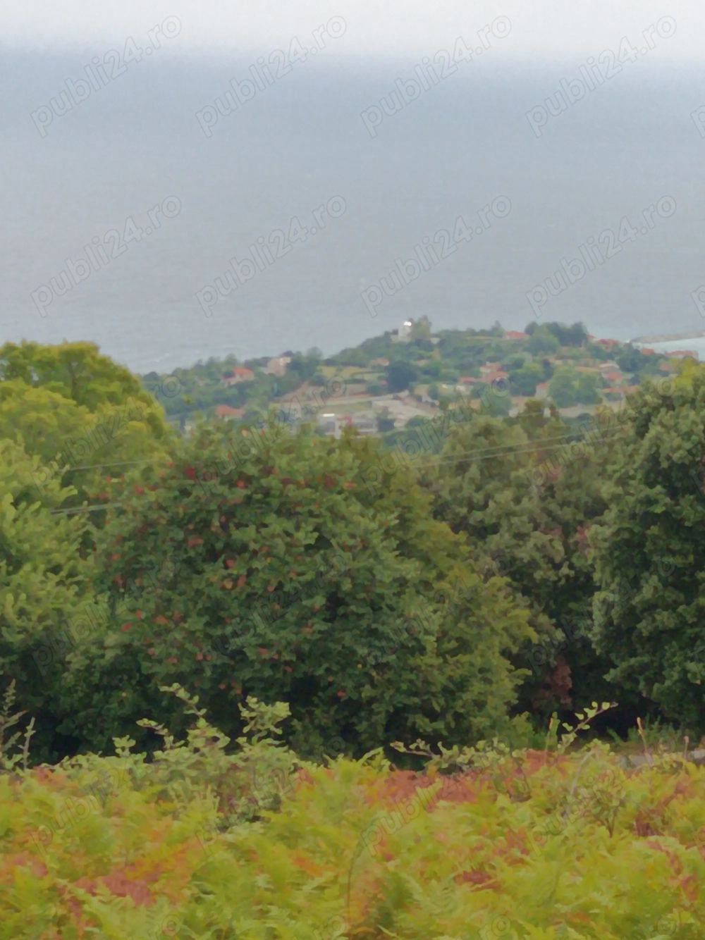 Vînd teren suprafață 7000 m 