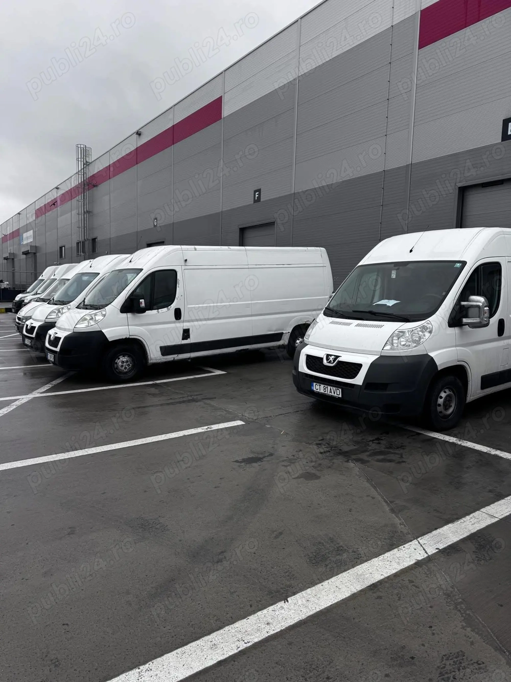 Angajez sofer - Cargus