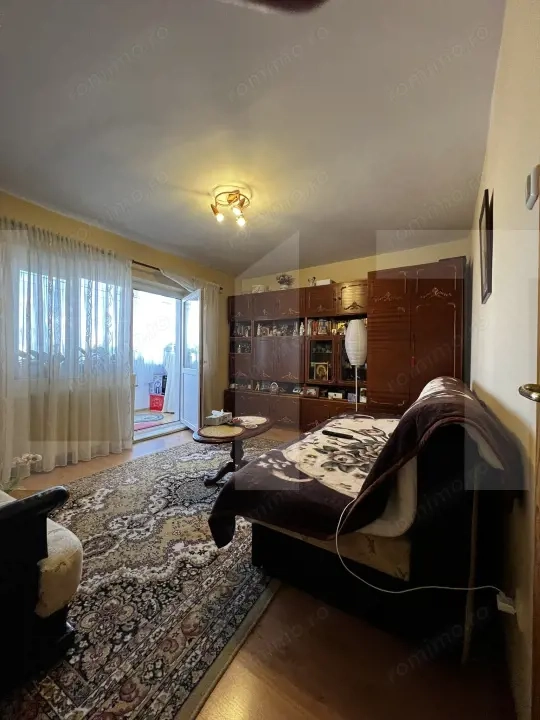Apartament cu o cameră Buziașului
