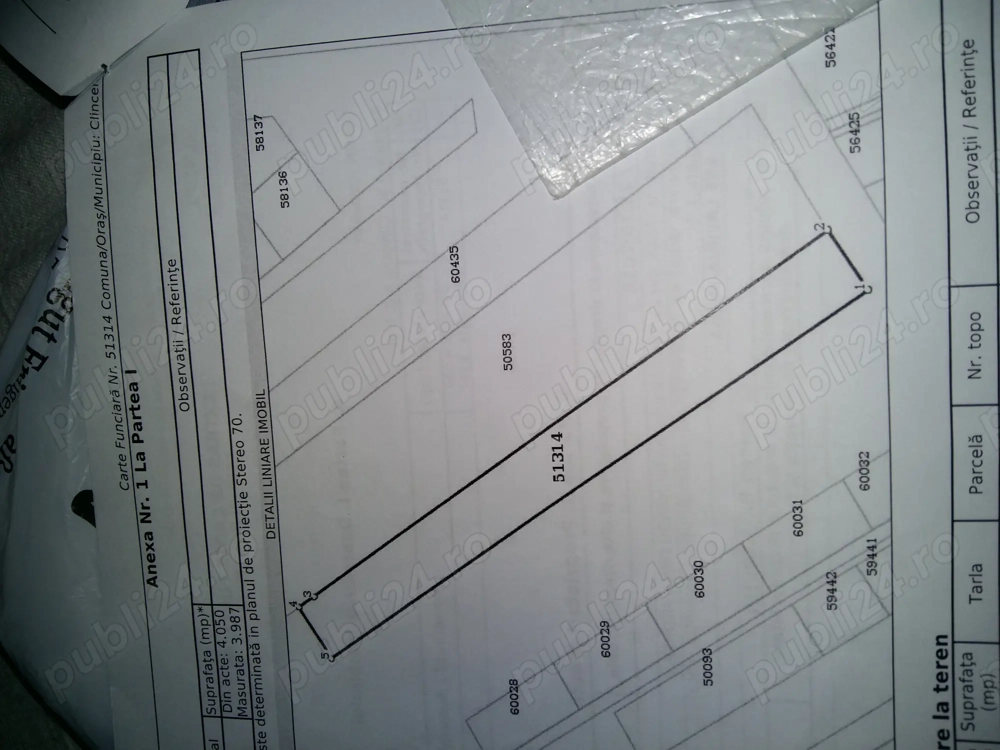 Teren Clinceni Ordoreanu 