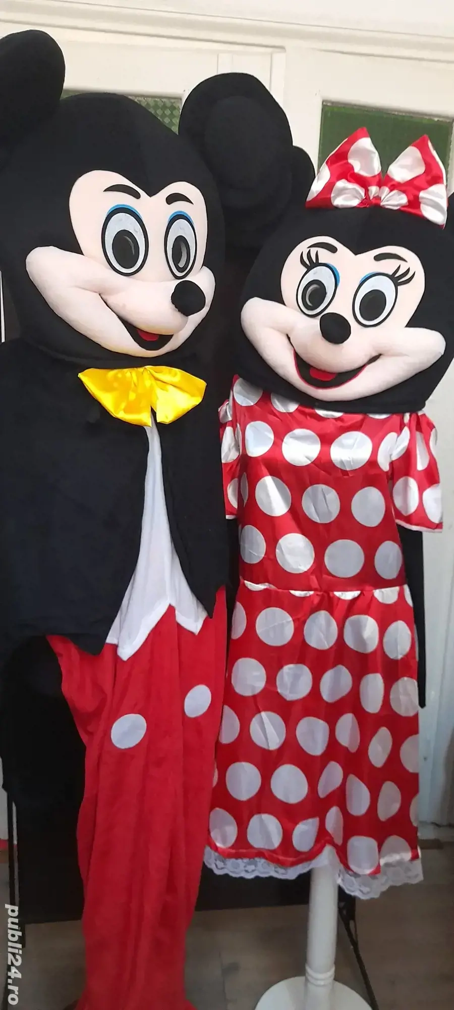 costume  carnaval Bistrița 