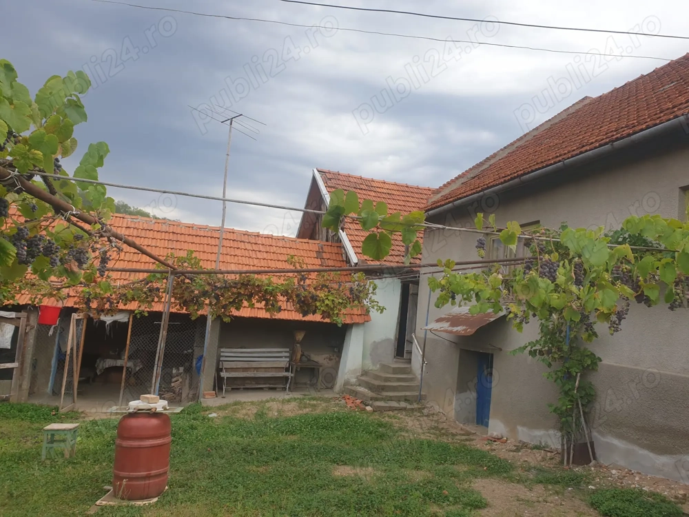 Casa de vanzare cu gradina 8000m
