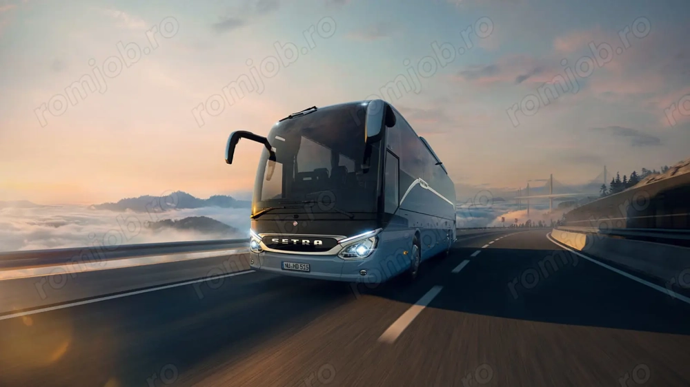 Șofer profesionist cu experiență caut loc de muncă intern