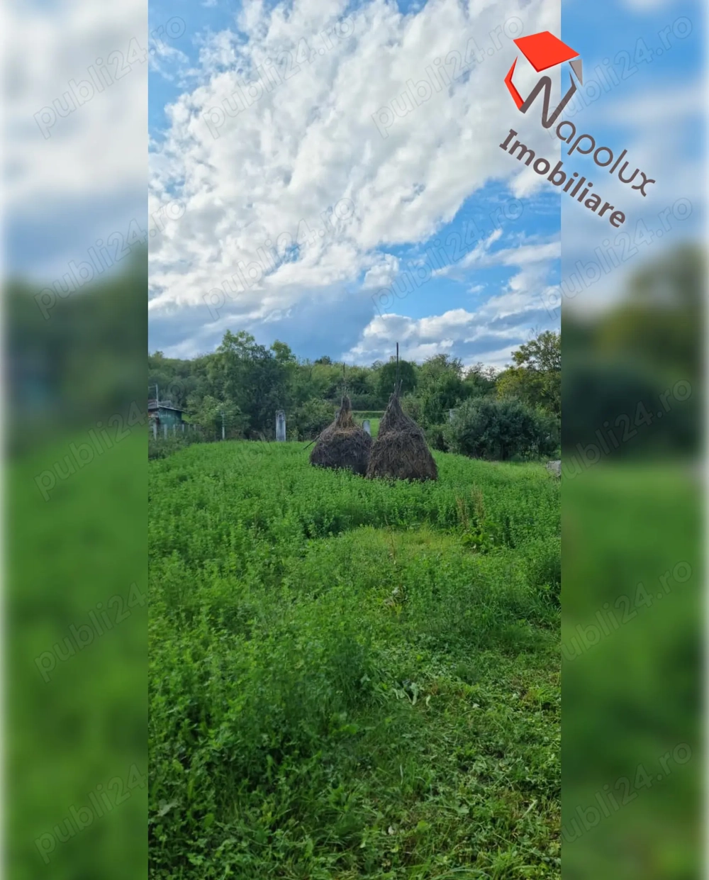 Teren pentru constructii in comuna Ciurila