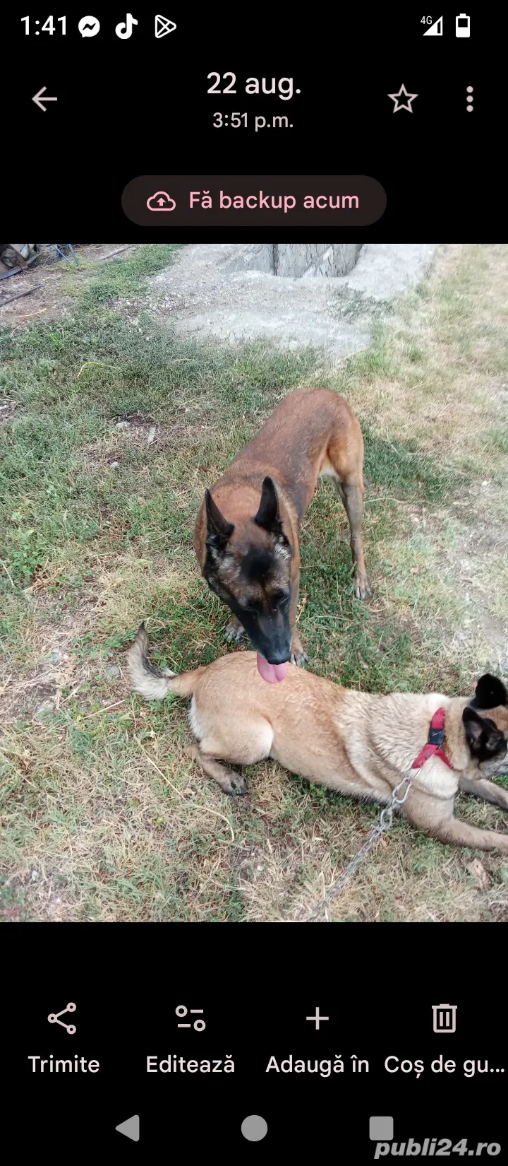 100euro bucata   100euro bucata