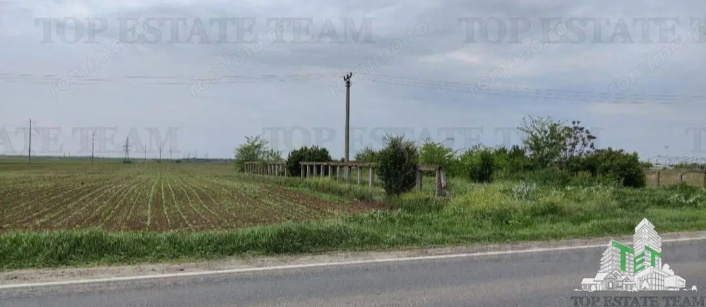 Teren intravilan - vanzare - centura - Cazasu - Braila