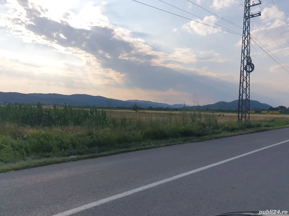 teren de vanzare 
