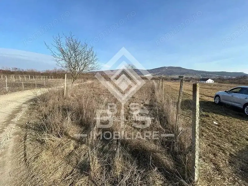 Teren intravilan Zona Unirea Teren intravilan Zona Unirea