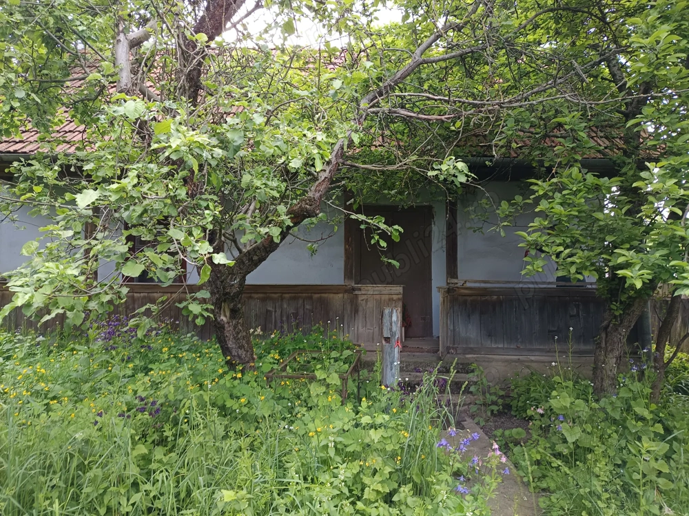 Casă veche demolabilă + teren generos Sat Luna de Jos, Comuna Dăbâca, la doar 30km de Cluj