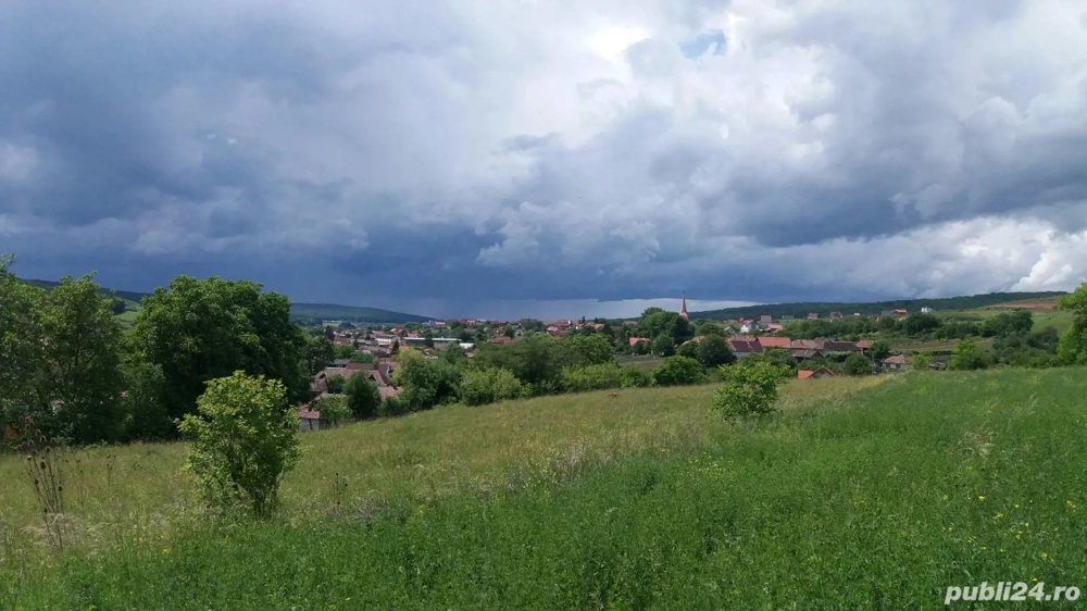 vand teren intravilan agricol 4500 mp in snagov la 15000 euro,