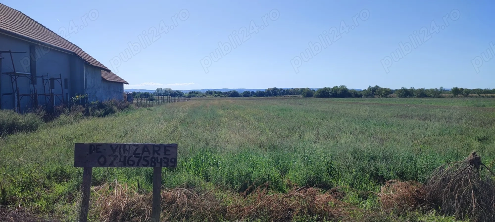Vanzare teren intravilan (loc de casa) - Comuna Tileagd. 