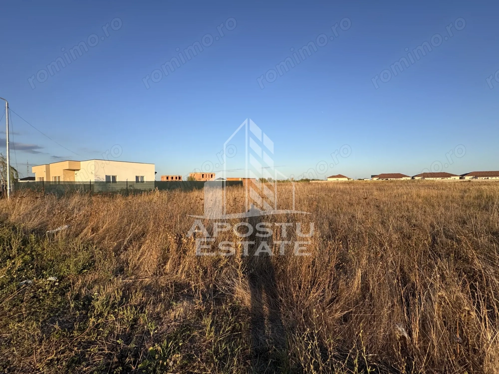 Teren Intravilan | 706mp | Front 16ml | Zona Mosnita Noua Teren Intravilan | 706mp | Front 16ml | Zona Mosnita Noua