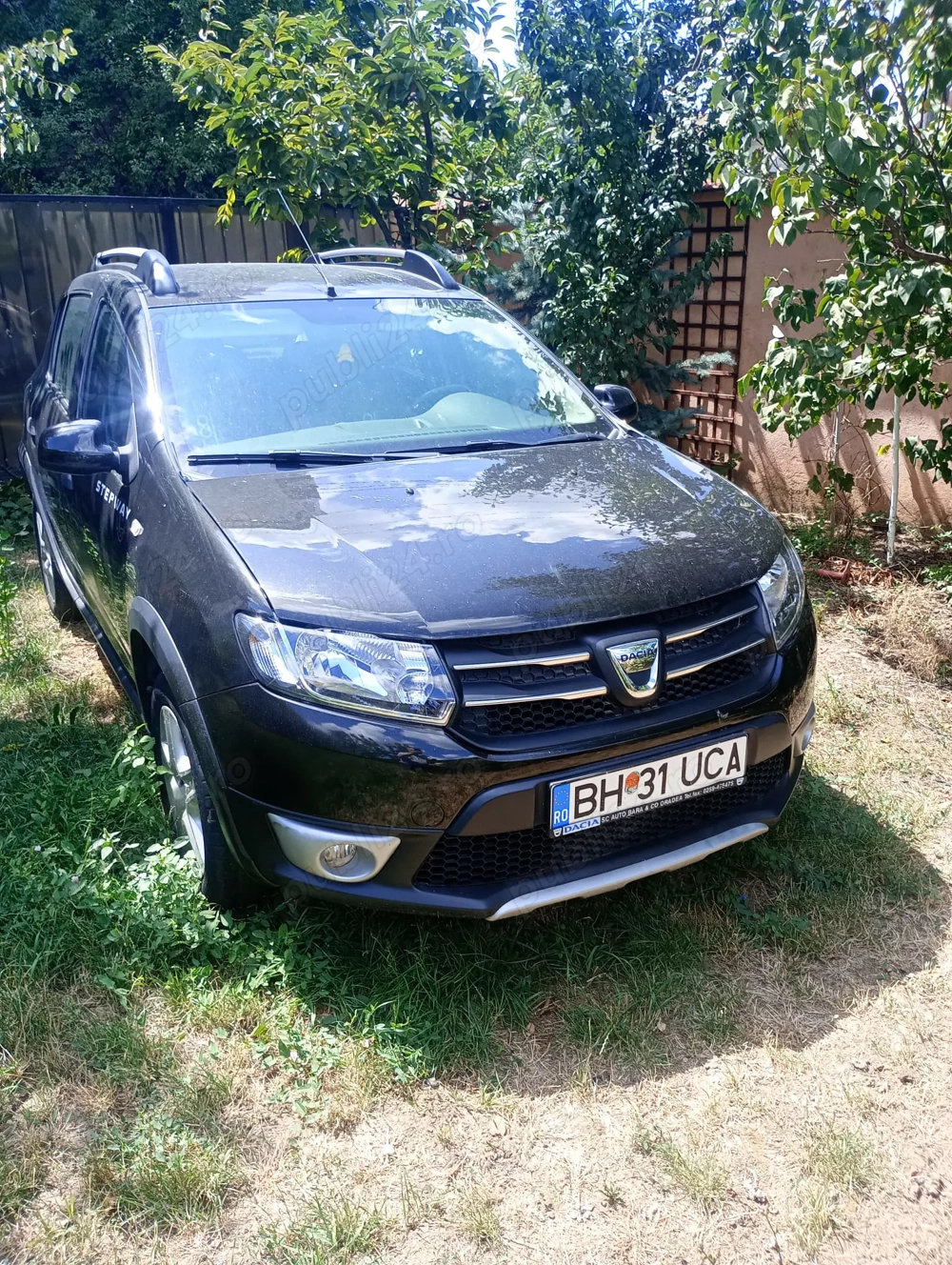 Vand Model Sandero Stepway,  Vand Model Sandero Stepway,