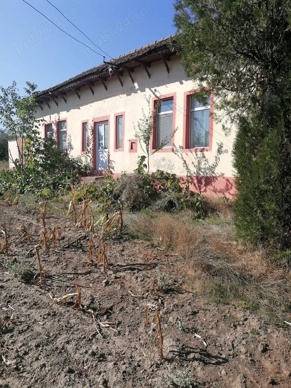 Vand casa batraneasca cu teren,in suprafata de 6000 mp,sat Viisoara,judetul Constanta