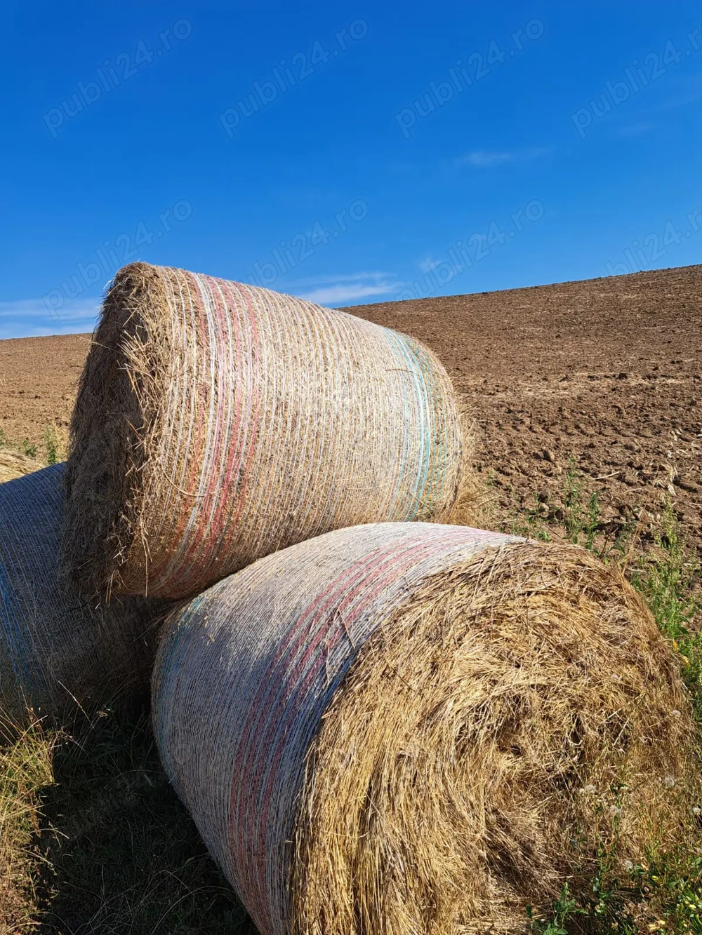 Vand  2 hectare teren arabil