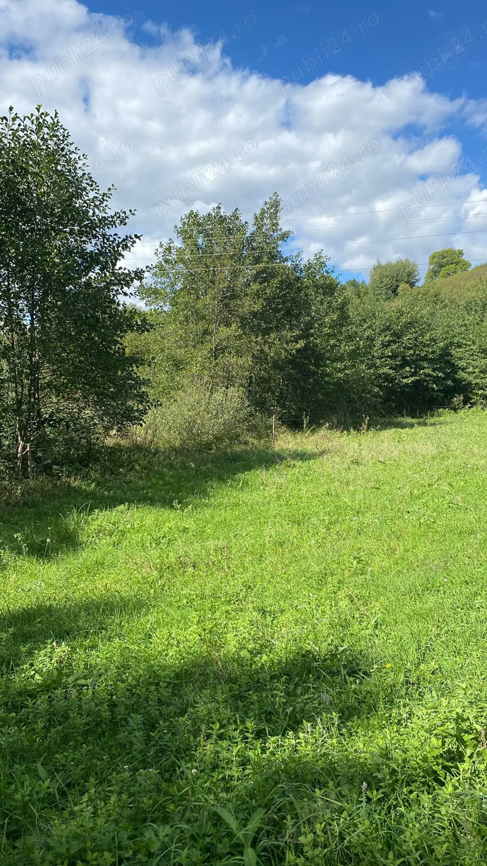 Vând teren intravilan în Beznea 25000 euro
