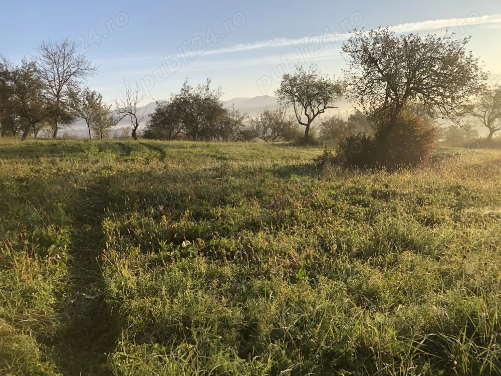 Vind Teren intravilan Beius( Mizies) Vind Teren intravilan Beius( Mizies)