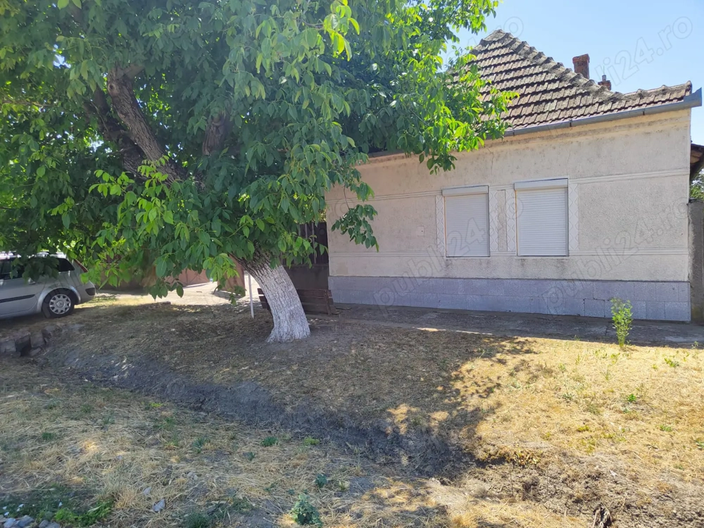 Casă + Curte + Teren arabil generos, Nerău, Teremia Mare, 1596 mp, locuibilă imediat